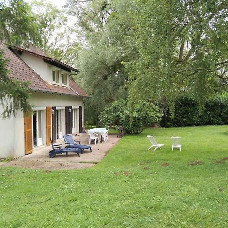 Villa - Coulommiers - Parcs Des Felins - Provins Beautheil-Saints Exterior foto