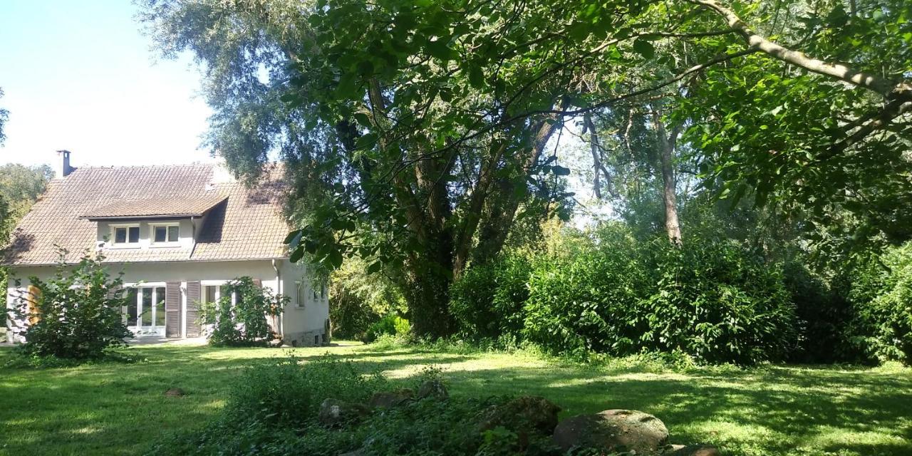 Villa - Coulommiers - Parcs Des Felins - Provins Beautheil-Saints Exterior foto