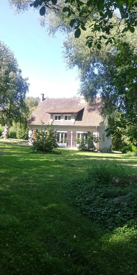 Villa - Coulommiers - Parcs Des Felins - Provins Beautheil-Saints Exterior foto